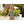 Badeanzug ECO Tie Me Tight Spring Flight