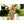 Badeanzug ECO Tie Me Tight Spring Flight